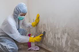 Mold Remediation for Rental Properties in Gonzales, TX